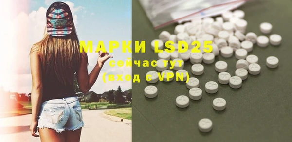 спиды Аркадак