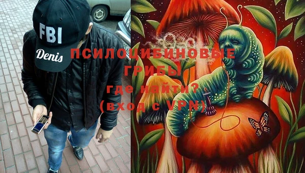 герыч Арсеньев