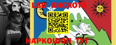 шишки Конаково