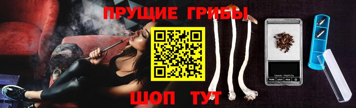 Галлюциногенные грибы Psilocybine cubensis  Вход с VPN  Лениногорск 